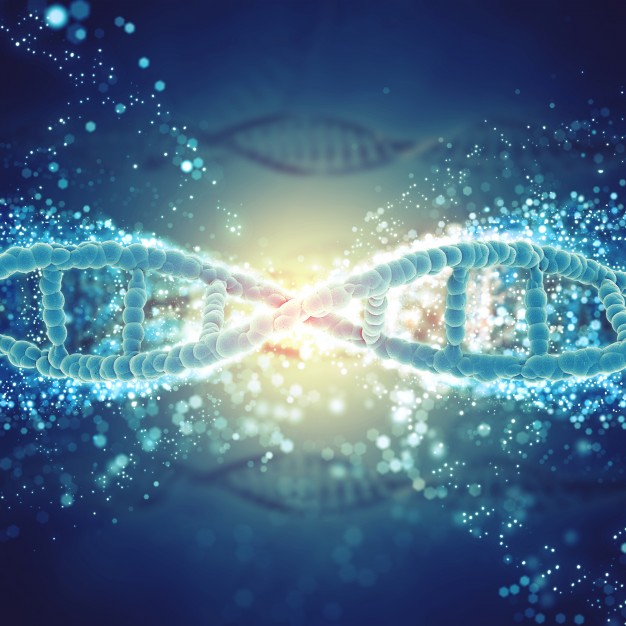 Actualité Santé : La découverte impressionnante de nouvelles cellules souches