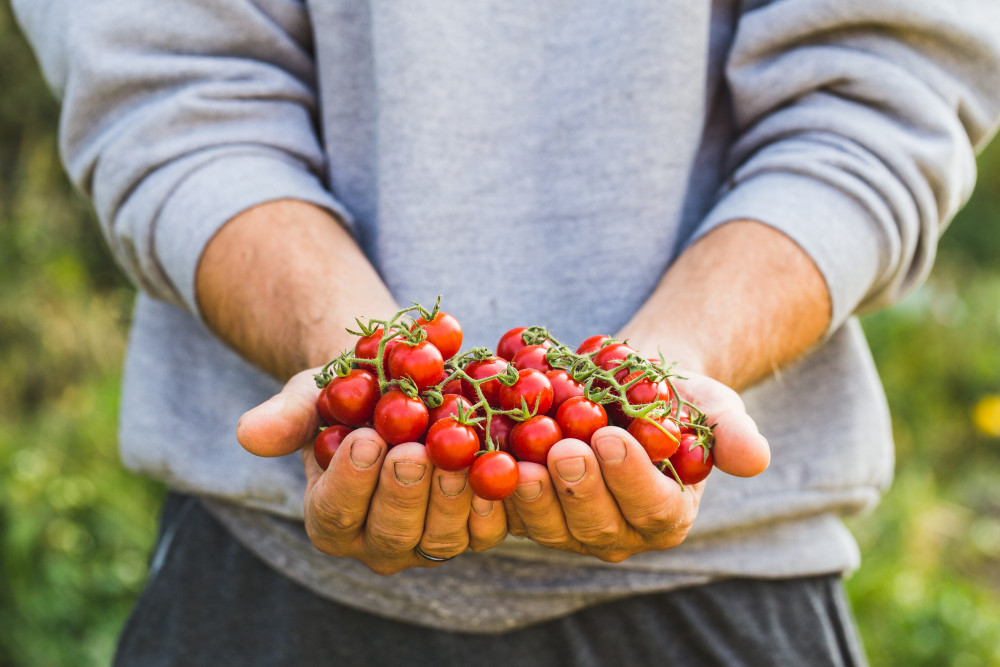 Les aliments bio : démystification des mythes courants
