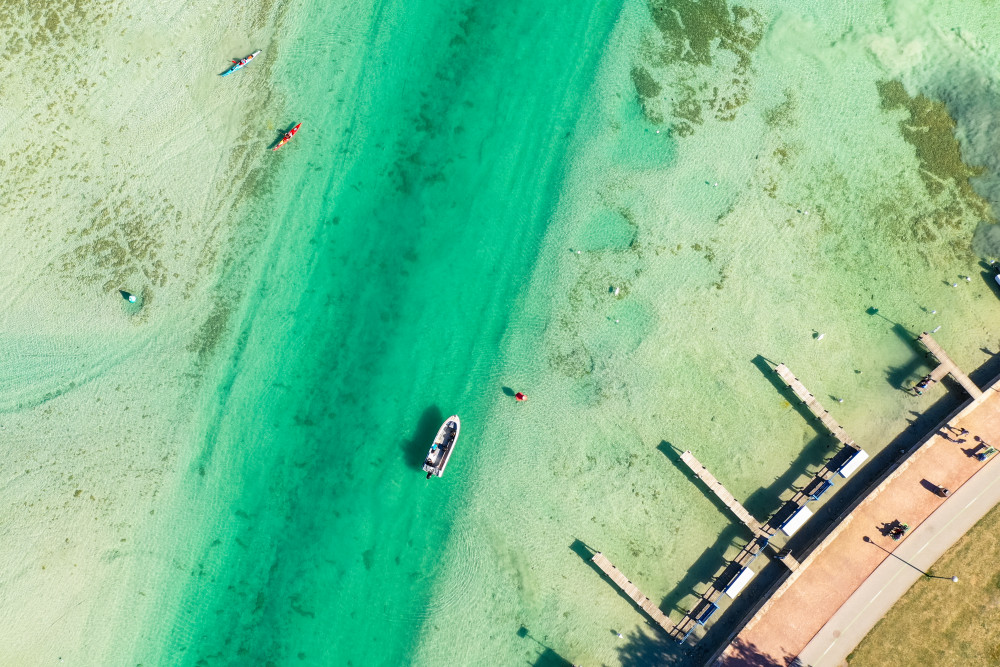 Les marées vertes : un fléau écologique aux solutions complexes