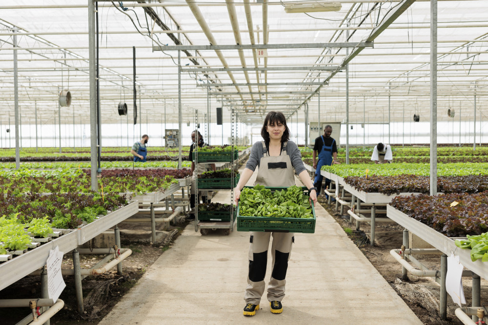 Micro-organismes : des alliés précieux pour régénérer nos sols