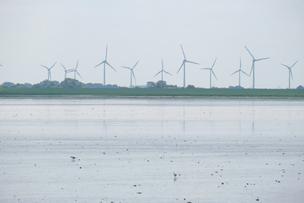 L'énergie marémotrice : une solution d'avenir pour la transition énergétique ?