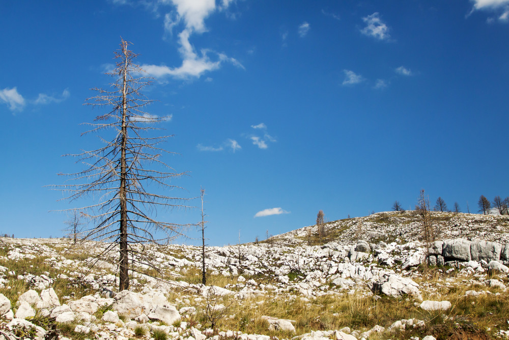 L'érosion du sol : un fléau silencieux aux conséquences environnementales et sanitaires majeures