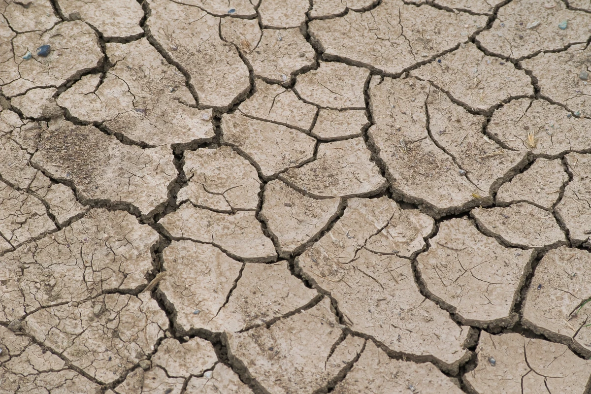 Réchauffement climatique : enjeux majeurs et actions immédiates incontournables