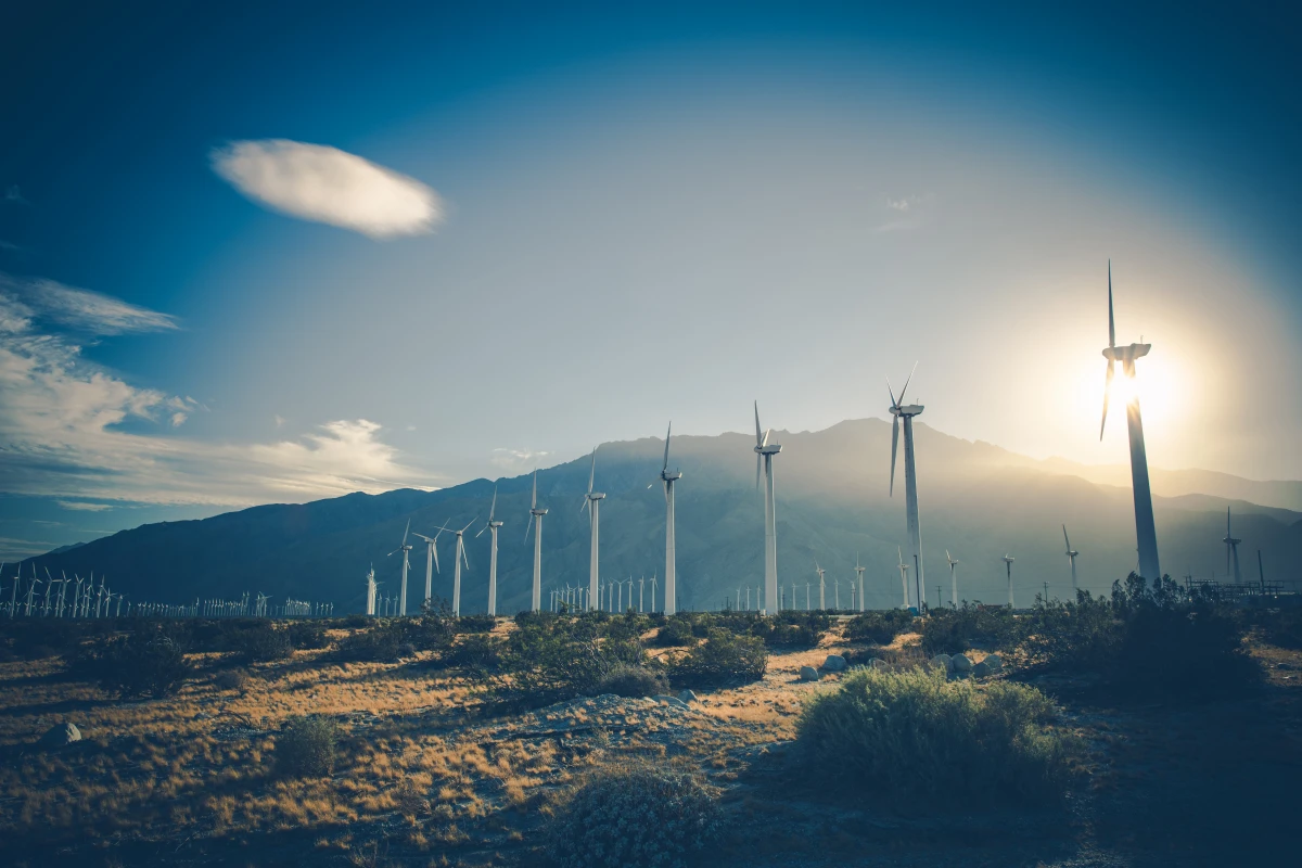 Transition énergétique : le rôle crucial des énergies renouvelables pour un avenir durable
