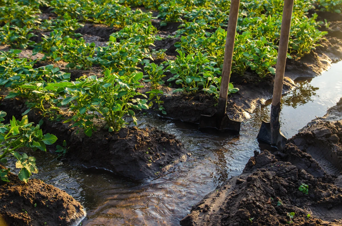 Gestion de l'eau : défis et solutions pour une ressource vitale