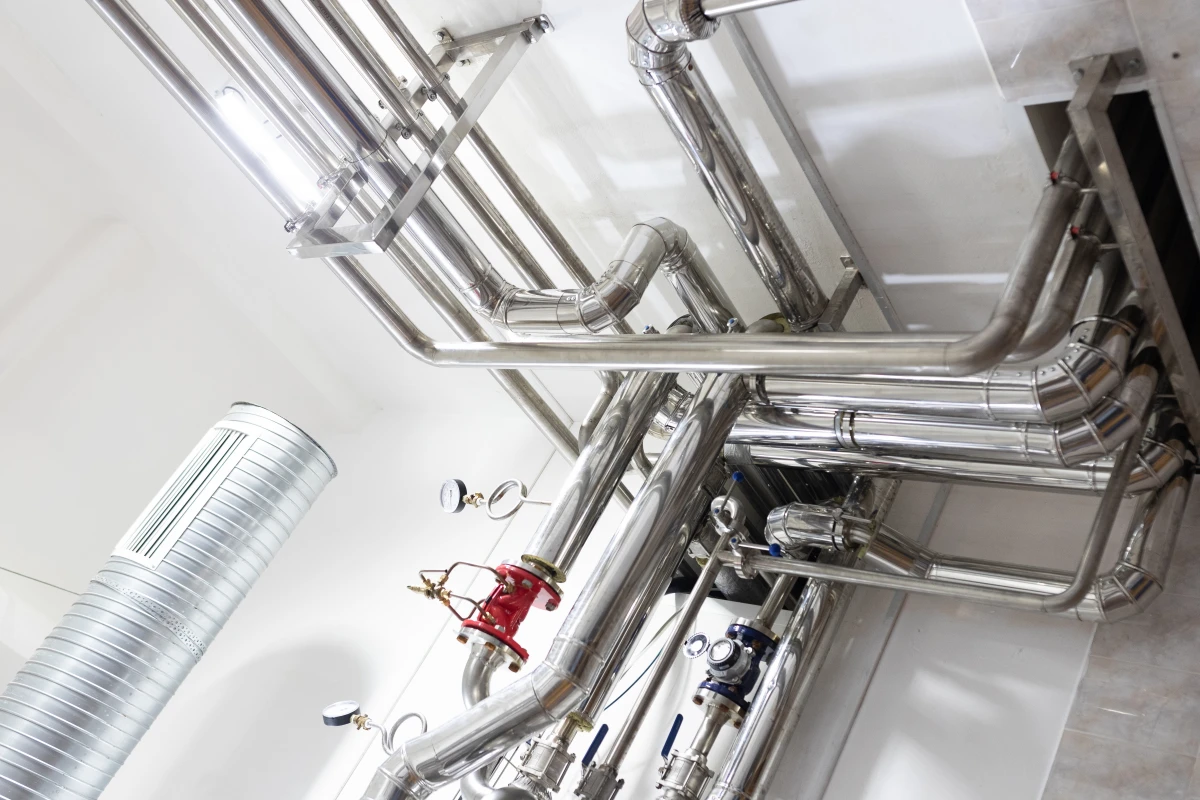 Systèmes alimentaires durables : un enjeu majeur pour la santé et l'environnement