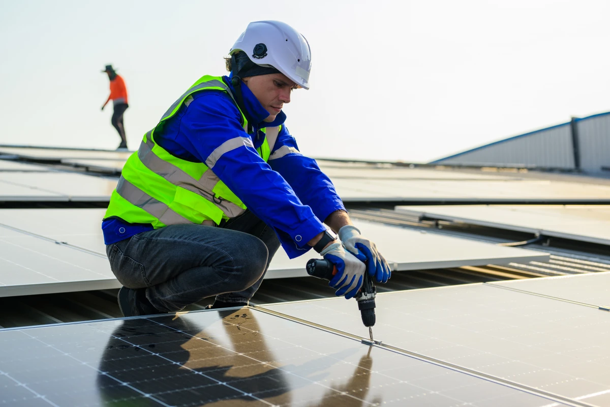 Toitures végétalisées : un atout majeur pour les bâtiments et l'environnement