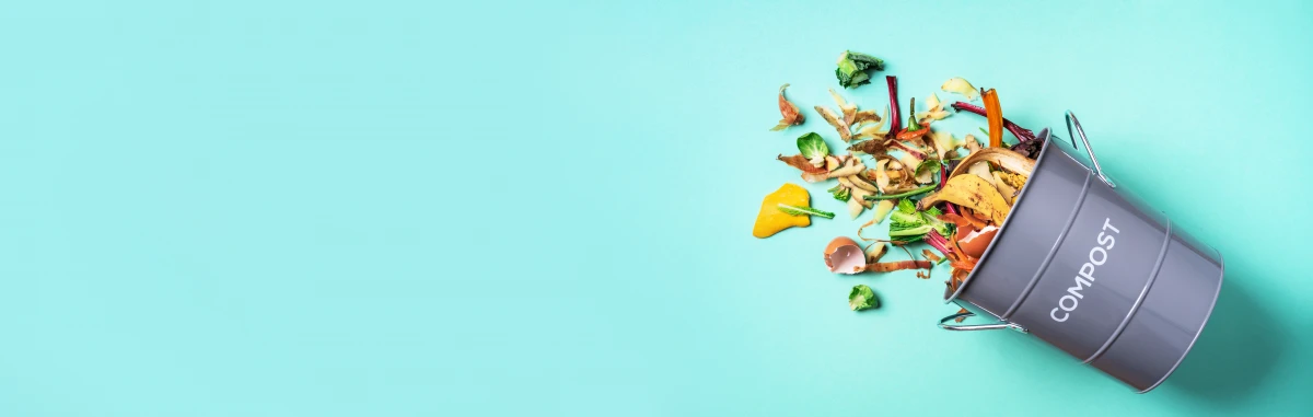 Le compostage : une révolution verte pour transformer vos déchets en ressources