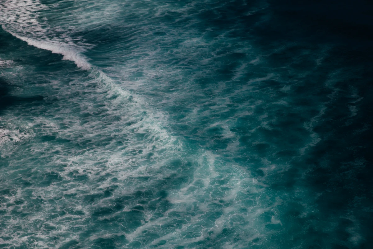 Les bienfaits des zones de non-prélèvement pour la biodiversité marine