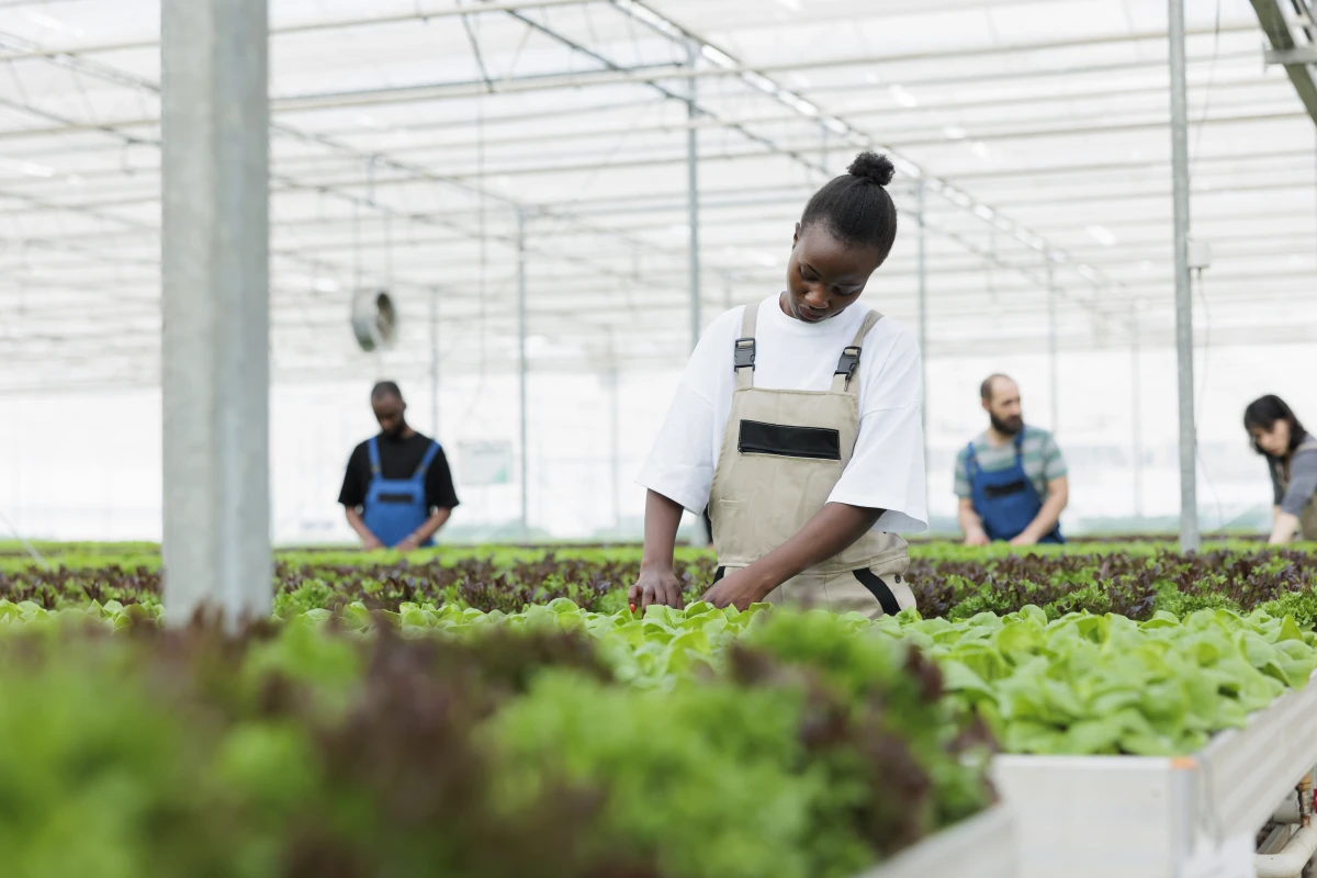 Les technologies propres pour une agriculture plus durable