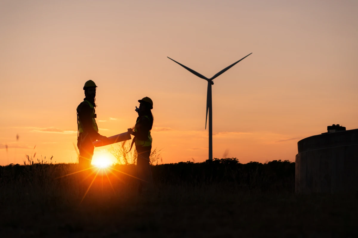 Comment l'énergie éolienne impacte les populations d'oiseaux